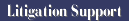 Litigation Support